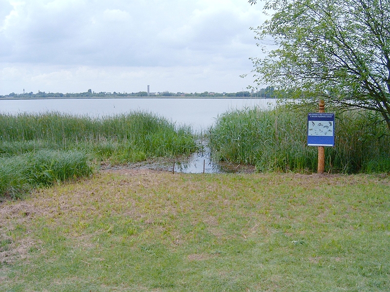 20100529 001.jpg
